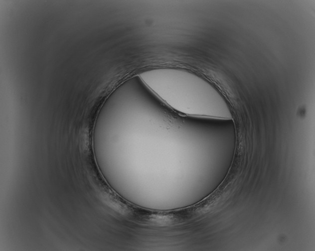 X0000097770457200803070905