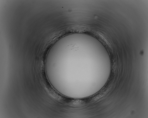 X0000097770459200803070905