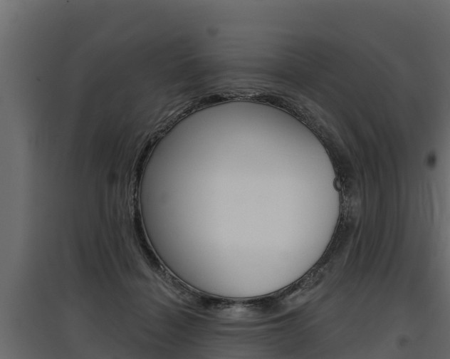 X0000097770460200803070905