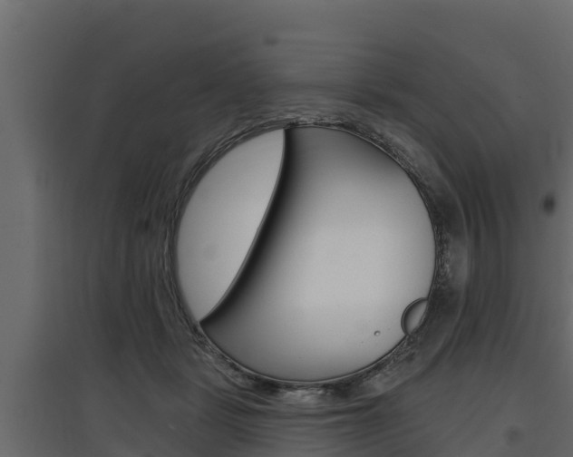 X0000097770461200803070905