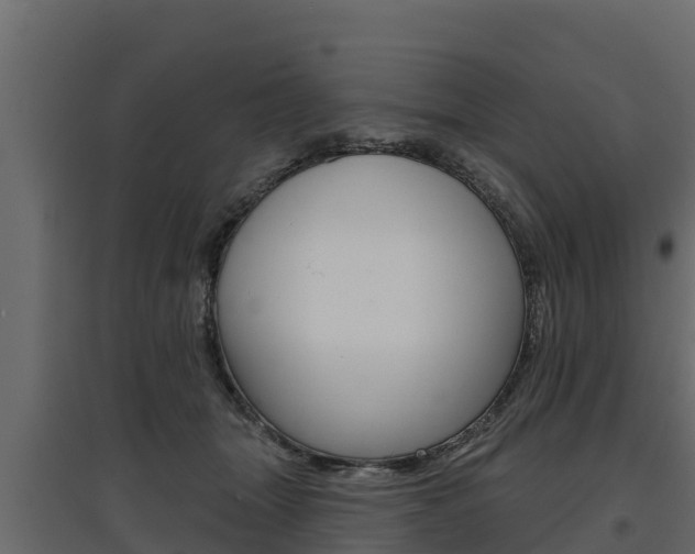 X0000097770463200803070905