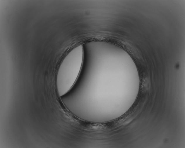 X0000097770466200803070905