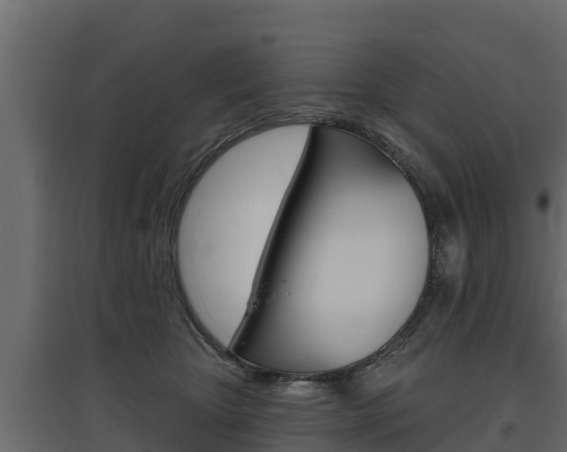 X0000097770467200803070905