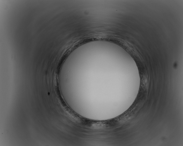 X0000097770470200803070905
