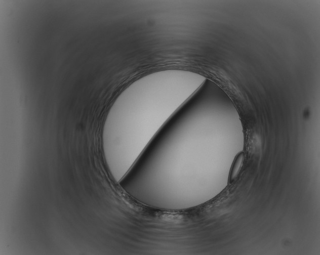 X0000097770471200803070905