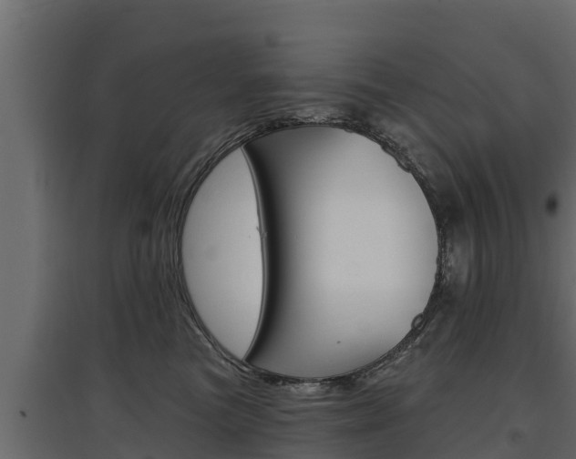 X0000097770473200803070905