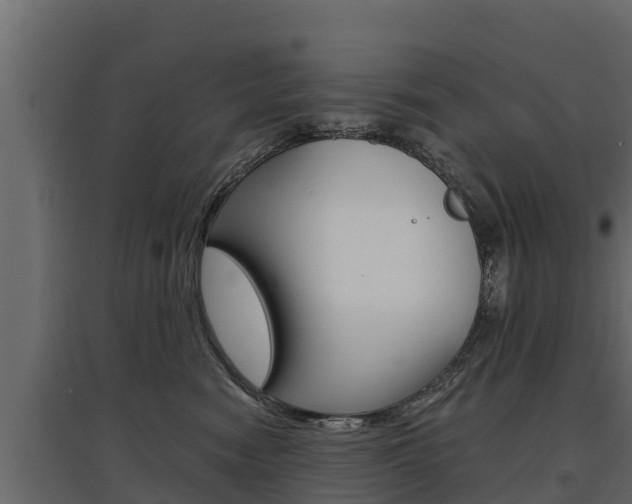 X0000097770474200803070905