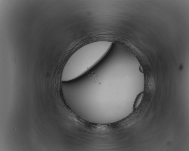 X0000097770475200803070905