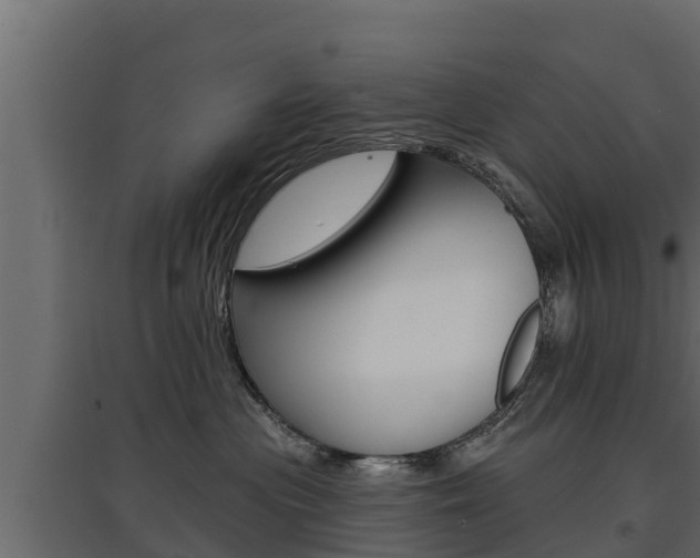 X0000097770477200803070905