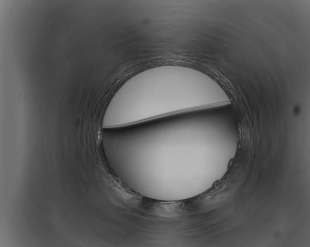 X0000097770479200803070905