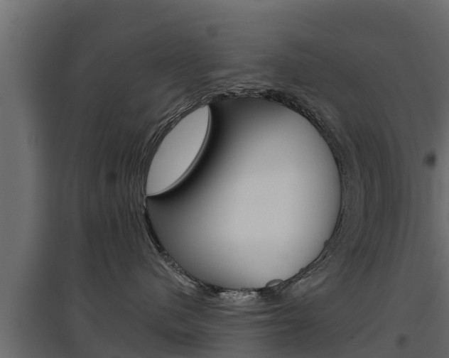 X0000097770480200803070905