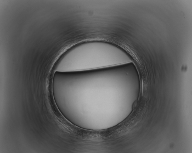 X0000097770483200803070904