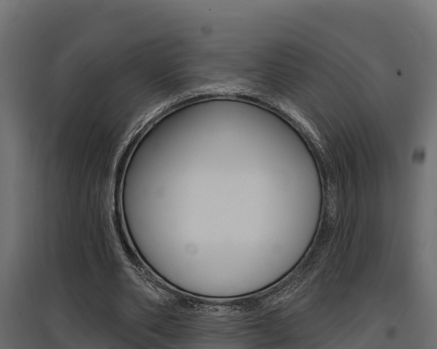 X0000097770486200803070904
