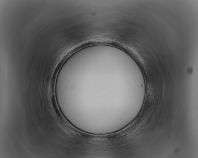 X0000097770487200803070904