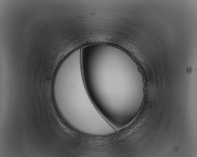 X0000097770489200803070904