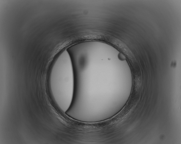 X0000097770490200803070904