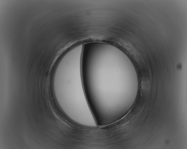 X0000097770492200803070904