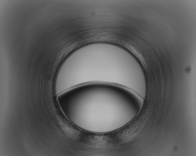 X0000097770493200803070904