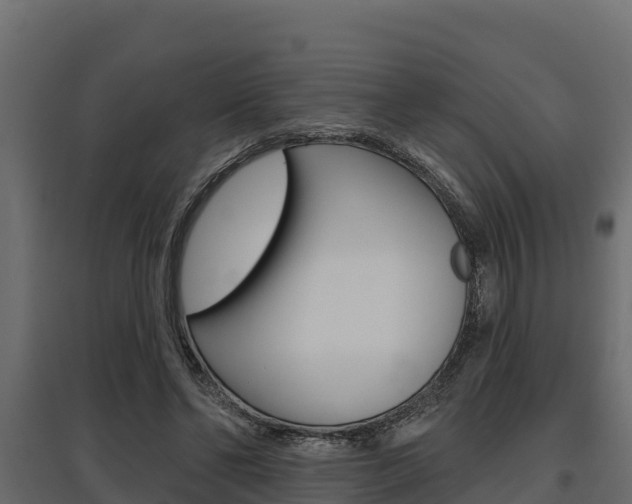 X0000097770494200803070904