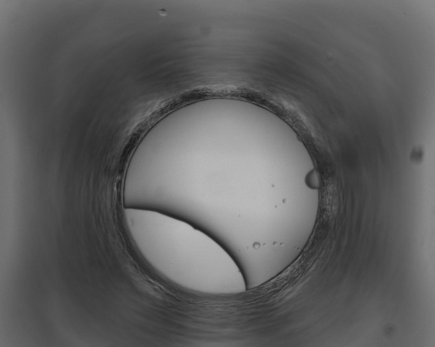 X0000097770495200803070904