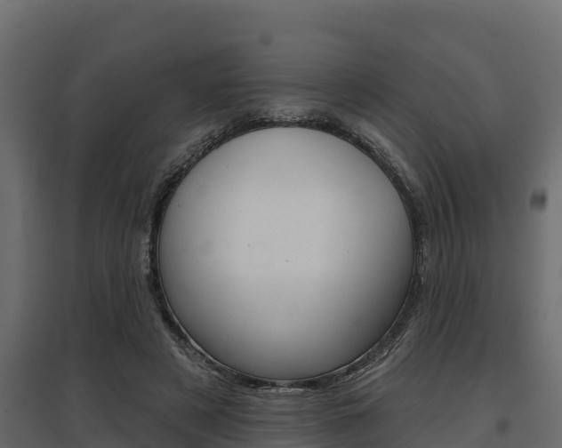 X0000097770497200803070904