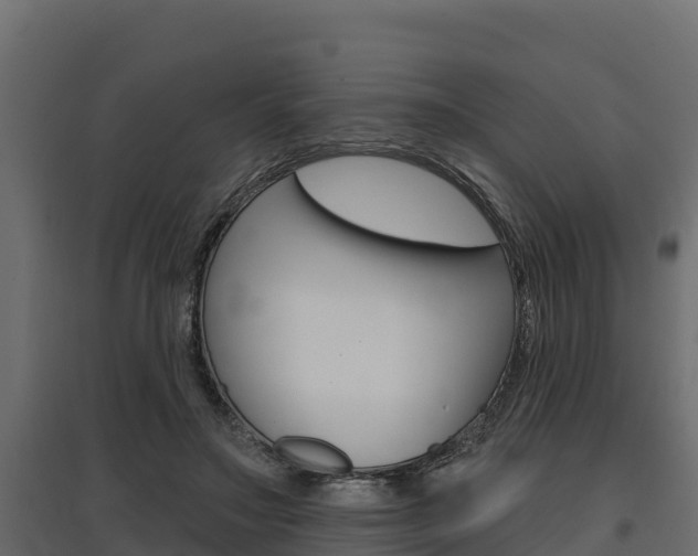 X0000097770499200803070904