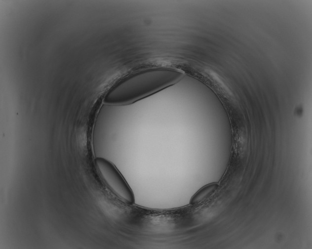 X0000097770500200803070904