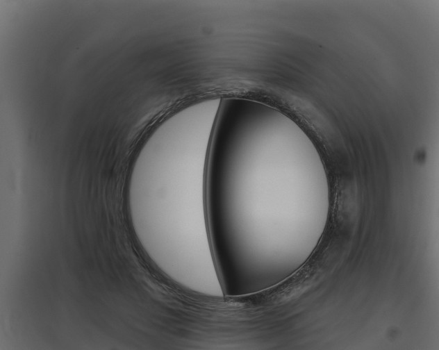 X0000097770501200803070904