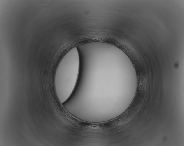 X0000097770502200803070904