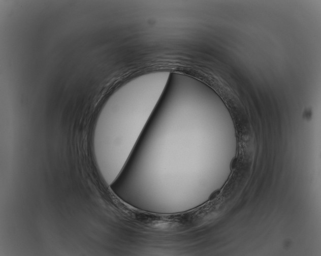 X0000097770504200803070904