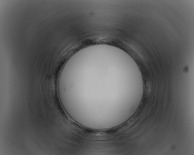 X0000097770506200803070904
