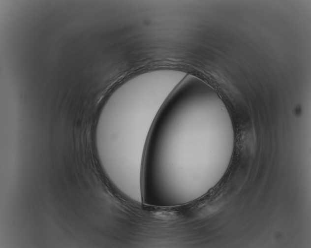 X0000097770508200803070904