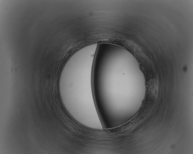 X0000097770509200803070904