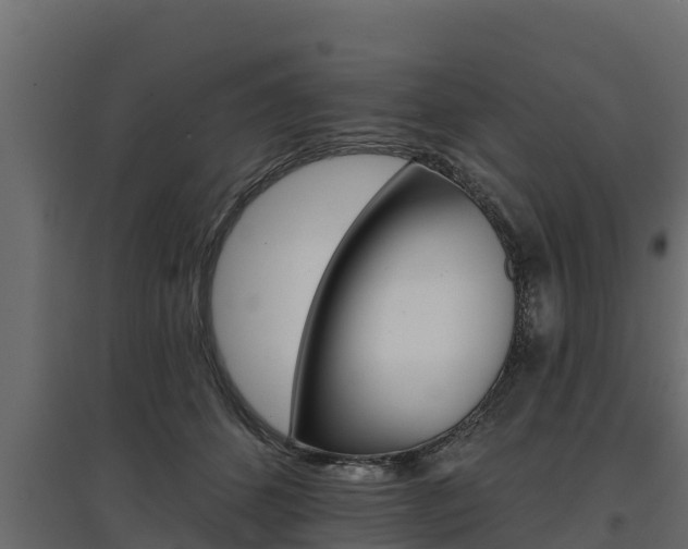 X0000097770512200803070904