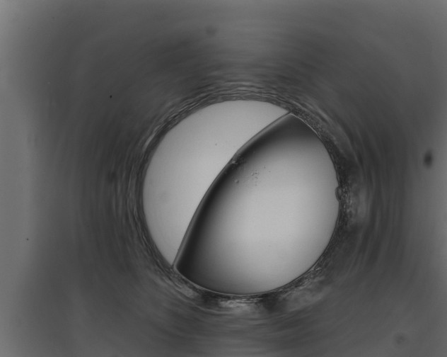 X0000097770516200803070904