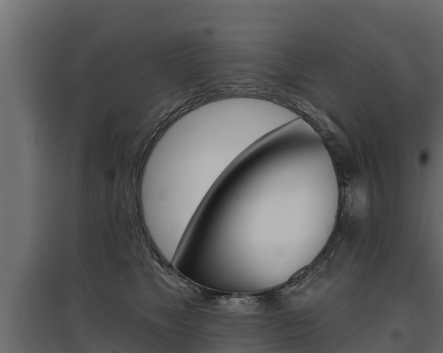 X0000097770517200803070904