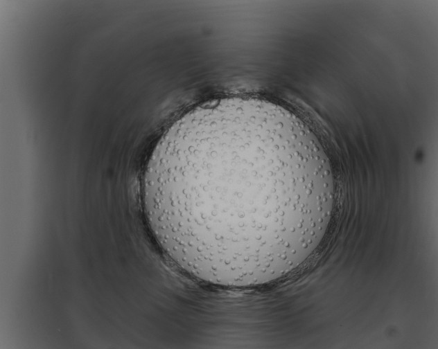 X0000097770523200803070904