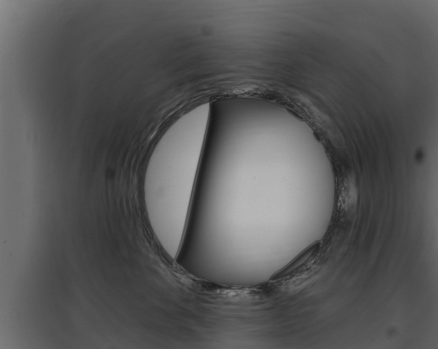 X0000097770524200803070904
