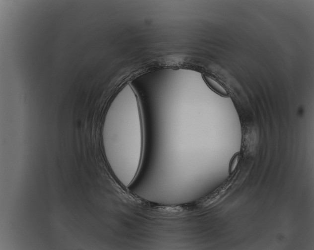 X0000097770525200803070904