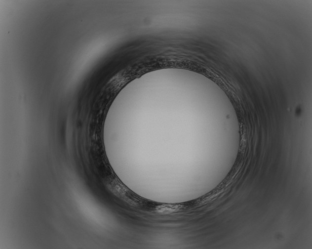 X0000097770526200803070904