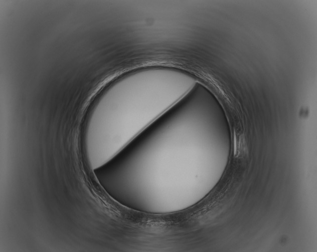 X0000097770531200803070903