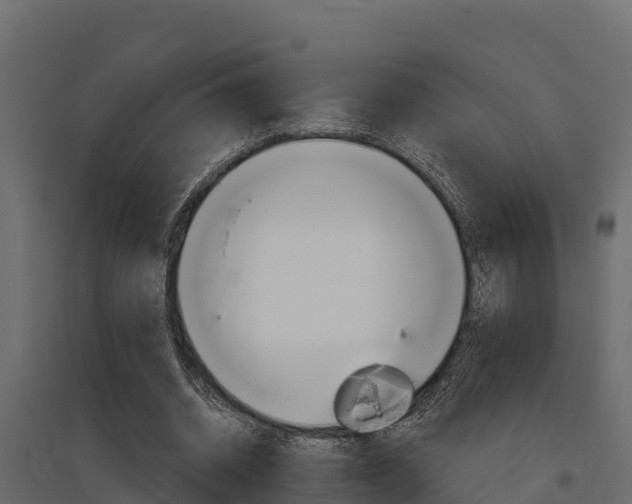 X0000097770534200803070903