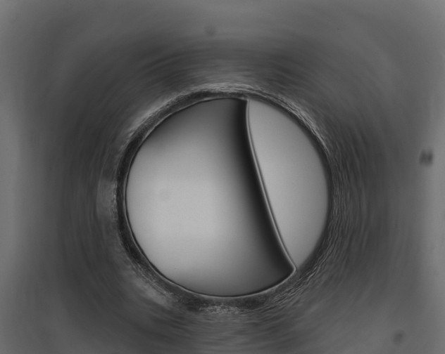 X0000097770535200803070903