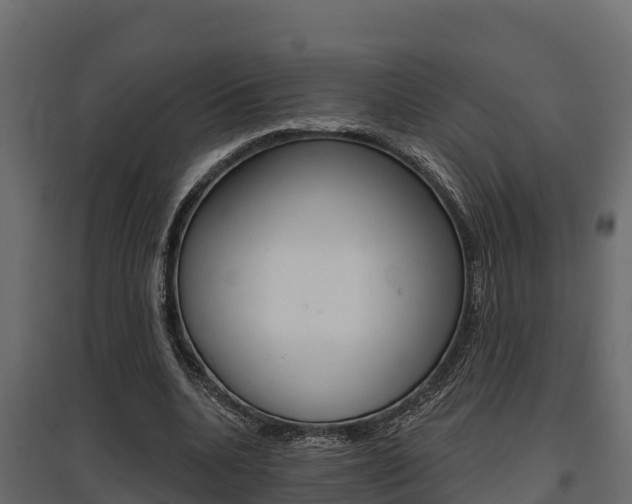 X0000097770536200803070903