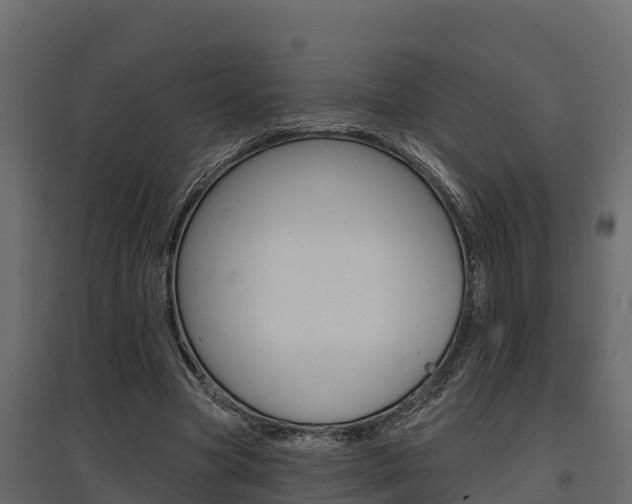 X0000097770537200803070903