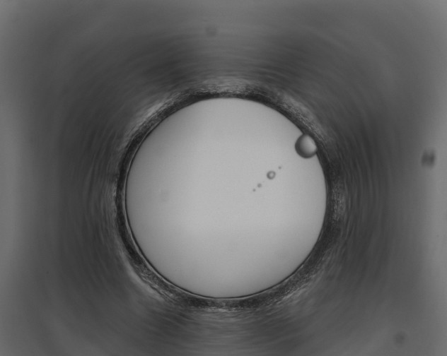 X0000097770538200803070903