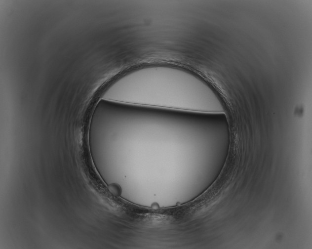 X0000097770539200803070903