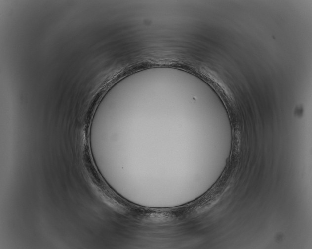 X0000097770541200803070903