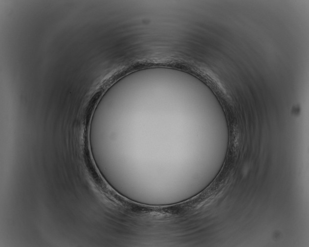 X0000097770542200803070903