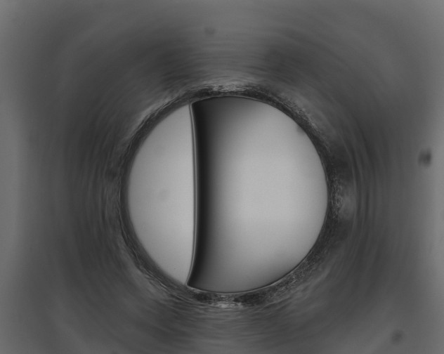 X0000097770543200803070903